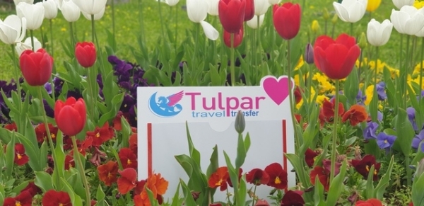 Tulpar Travel - транспортные услуги в Турции. Организация трансферов и экскурсий.