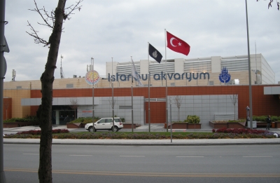 «Аквариум» в Стамбуле 